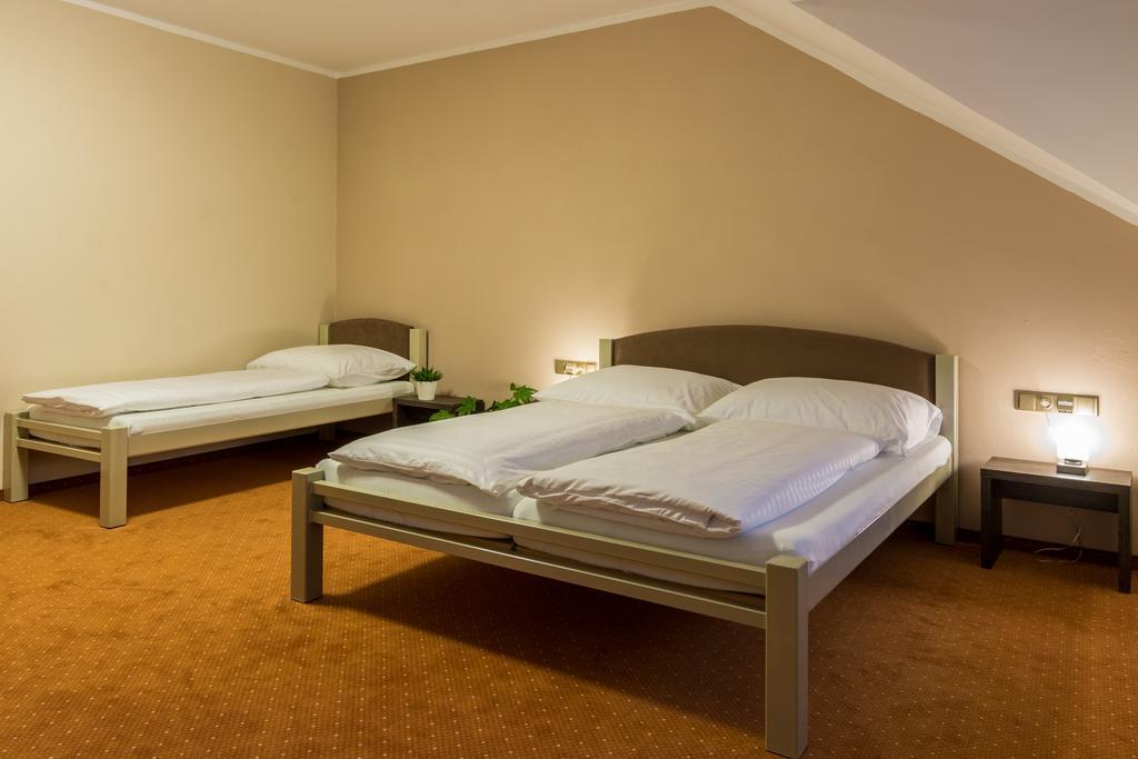 Hotel Luznice Planá nad Lužnicí 객실 사진