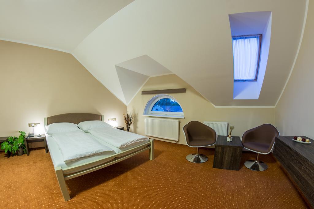 Hotel Luznice Planá nad Lužnicí 객실 사진