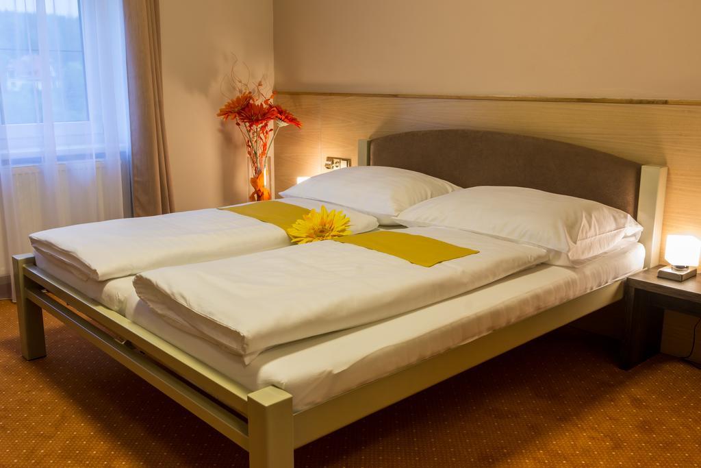 Hotel Luznice Planá nad Lužnicí 객실 사진