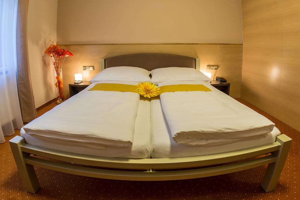 Hotel Luznice Planá nad Lužnicí 객실 사진